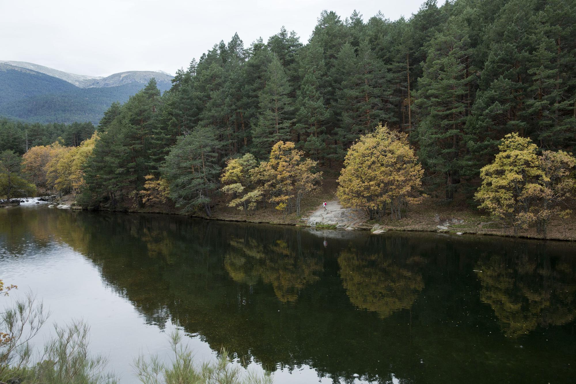 Rio Montaña El Paular 2